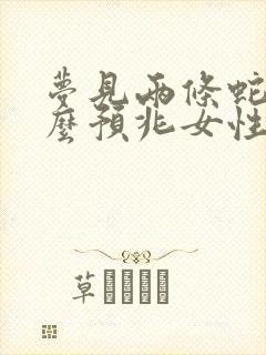 梦见两条蛇是什么预兆女性