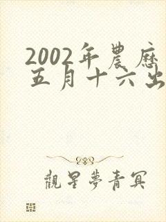 2002年农历五月十六出生女孩命运