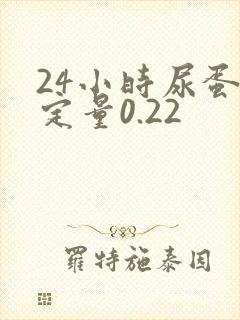 24小时尿蛋白定量0.22