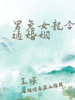 男兔女龙合不合适婚姻