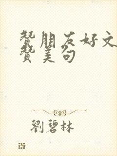 赞朋友好文采的赞美句