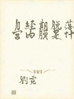 月经期脱落的子宫内膜是什么样子的