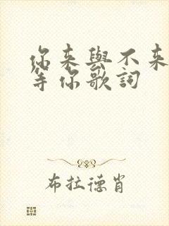 你来与不来我都等你歌词