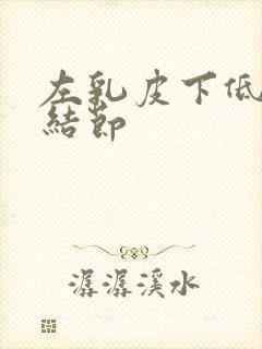 左乳皮下低回声结节