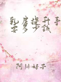 乳房提升手术需要多少钱