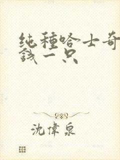 纯种哈士奇多少钱一只