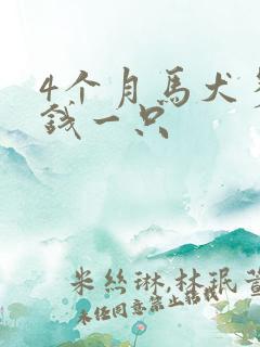 4个月马犬多少钱一只