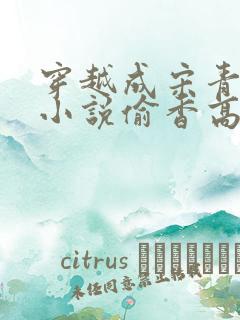 穿越成宋青书的小说偷香高手完整版