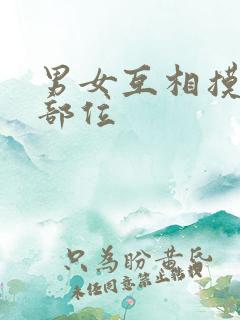 男女互相摸私密部位