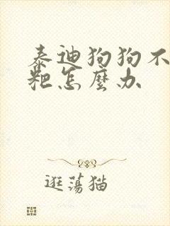 泰迪狗狗不拉粑粑怎么办