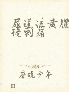 尿道流黄脓小便后刺痛