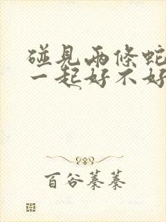 碰见两条蛇缠在一起好不好