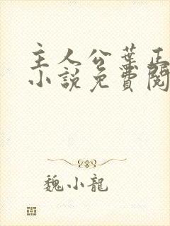 主人公叶正阳的小说免费阅读