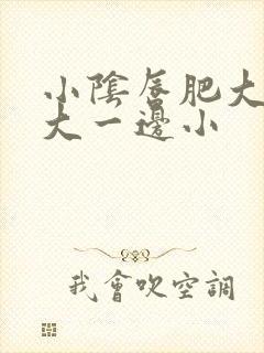 小阴唇肥大一边大一边小