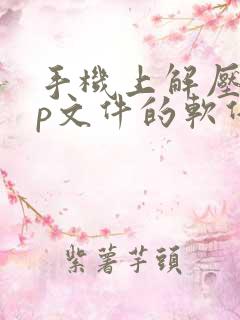 手机上解压zip文件的软件