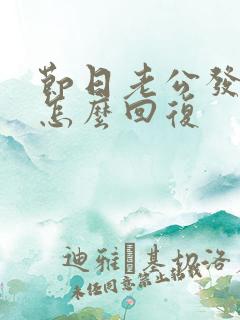 节日老公发红包怎么回复