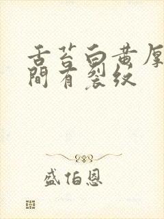 舌苔白黄厚腻中间有裂纹