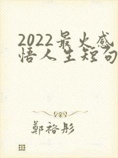 2022最火感悟人生短句