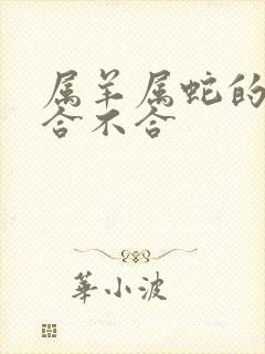 属羊属蛇的属相合不合