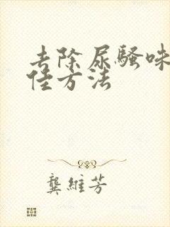 去除尿骚味的最佳方法