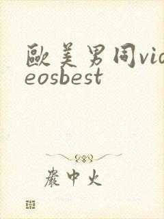 欧美男同videosbest