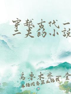 穿越古代一女嫁二夫的小说