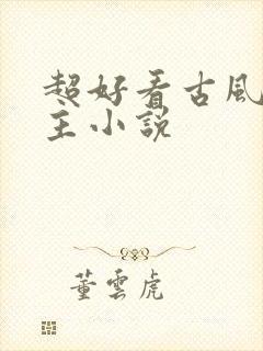 超好看古风双男主小说