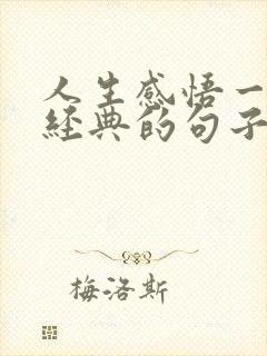 人生感悟一段很经典的句子