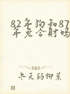 82年狗和87年兔合财吗