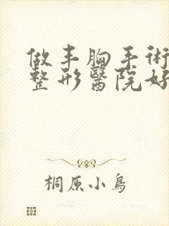 做丰胸手术那家整形医院好