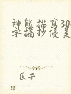 神态描写300字摘抄优美段落