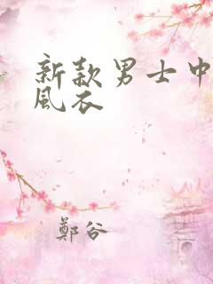 新款男士中长款风衣