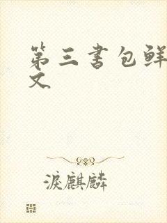 第三书包鲜网辣文
