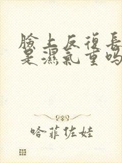 脸上反复长痘痘是湿气重吗