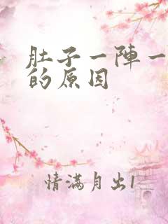 肚子一阵一阵痛的原因