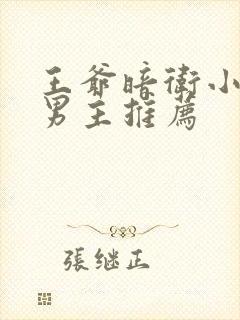 王爷暗卫小说双男主推荐