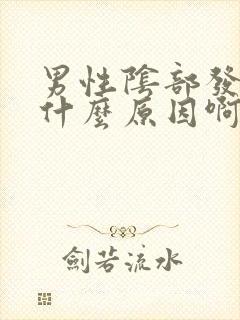 男性阴部发痒是什么原因啊怎么治疗