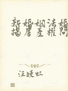 新婚姻法婚前按揭房产权问题