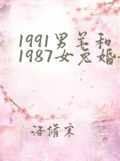 1991男羊和1987女兔婚姻怎么样