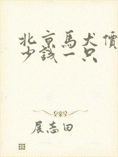 北京马犬价格多少钱一只