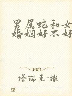 男属蛇和女属羊婚姻好不好