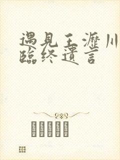 遇见王沥川小秋临终遗言