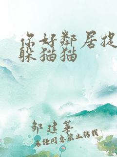 你好邻居捉迷藏躲猫猫