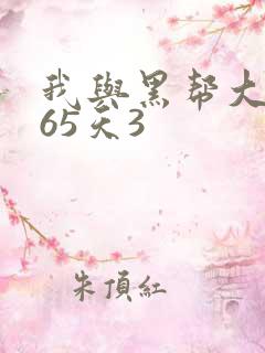 我与黑帮大佬365天3