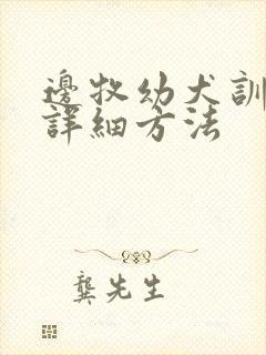 边牧幼犬训练的详细方法