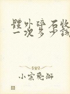 体外碎石收费是一次多少钱