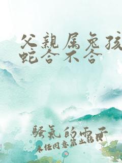 父亲属兔孩子属蛇合不合