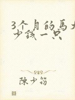 3个月的马犬多少钱一只