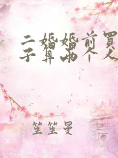 二婚婚前买的房子算两个人共同的财产吗