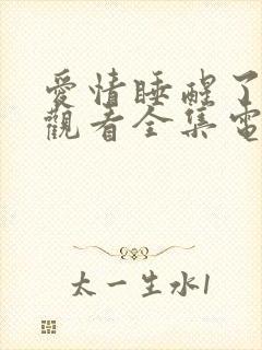 爱情睡醒了免费观看全集电视剧